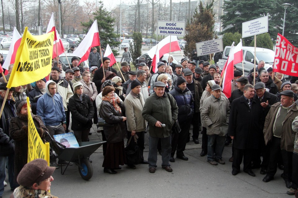 Protest hodowców ogórków