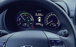 Straż Graniczna wybrała samochody elektryczne. Spalinowe zbyt drogie