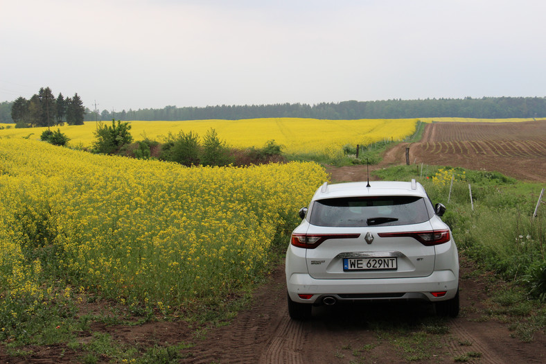 Renault Megane GT