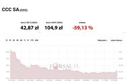 Oto najlepsze i najgorsze spółki z WIG 20 w 2022 roku [RANKING]