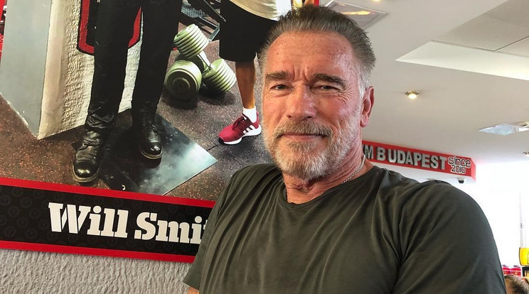 Arnold Schwarzenegger a korábban szintén
nálunk járó Will Smithnek üzent
ezzel a fotóval – ugyanabban a
fővárosi konditeremben gyúrtak /Fotó: Instagram