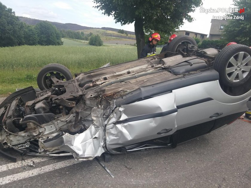 Szerszeń spowodował wypadek