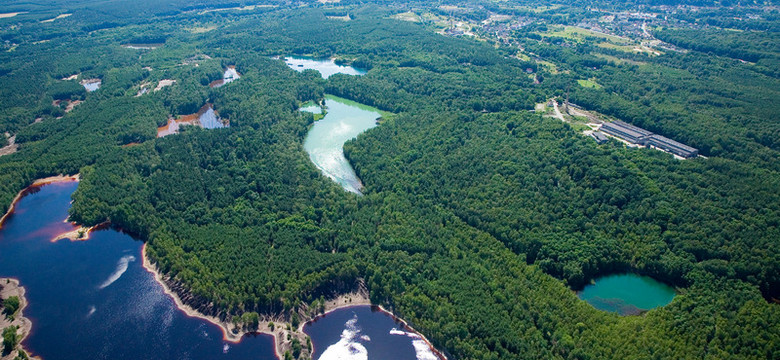 Geopark Łuk Mużakowa i Park Mużakowski - wyjątkowa atrakcja Lubuskiego