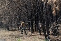 Tak wygląda Czarnobyl po katastrofalnym pożarze