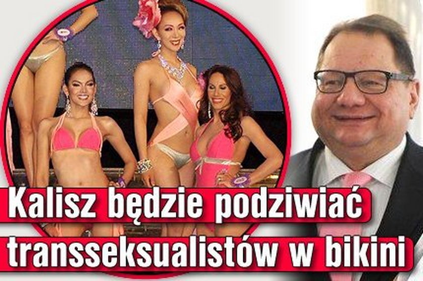 Kalisz będzie podziwiać transseksualistów w bikini!