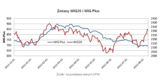 WIG Plus - czy warto inwestować w "indeks spółek zapomnianych"?