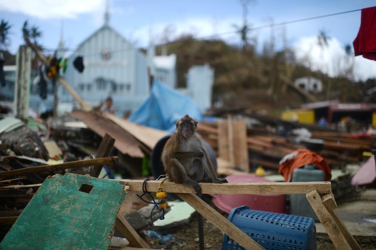 Filipiny po przejściu tajfunu