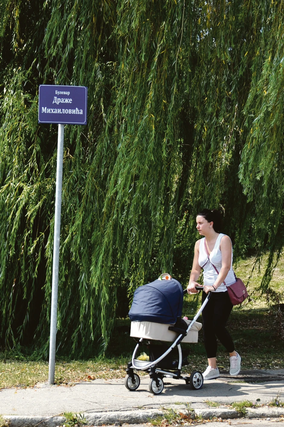 Tabla na raskrsnici Kumodraške i Darvinove, u komšiluku Bulevara Peka Dapčevića