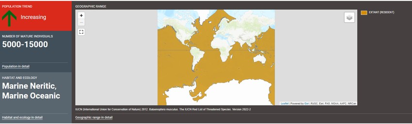 Populacija plavog kita