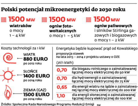 Polski potencjał mikroenergetyki do 2030 roku