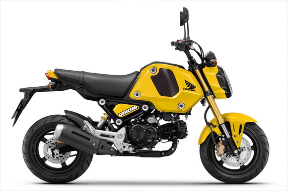 Honda MSX 125 GROM (cena: od 17 700 zł)