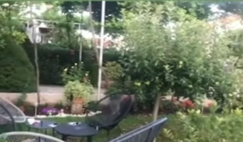 Imanje Nataše Ninković