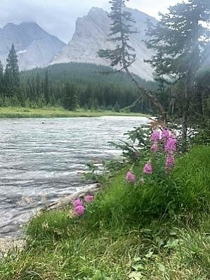 Jezioro Elbow Lake w Alberta