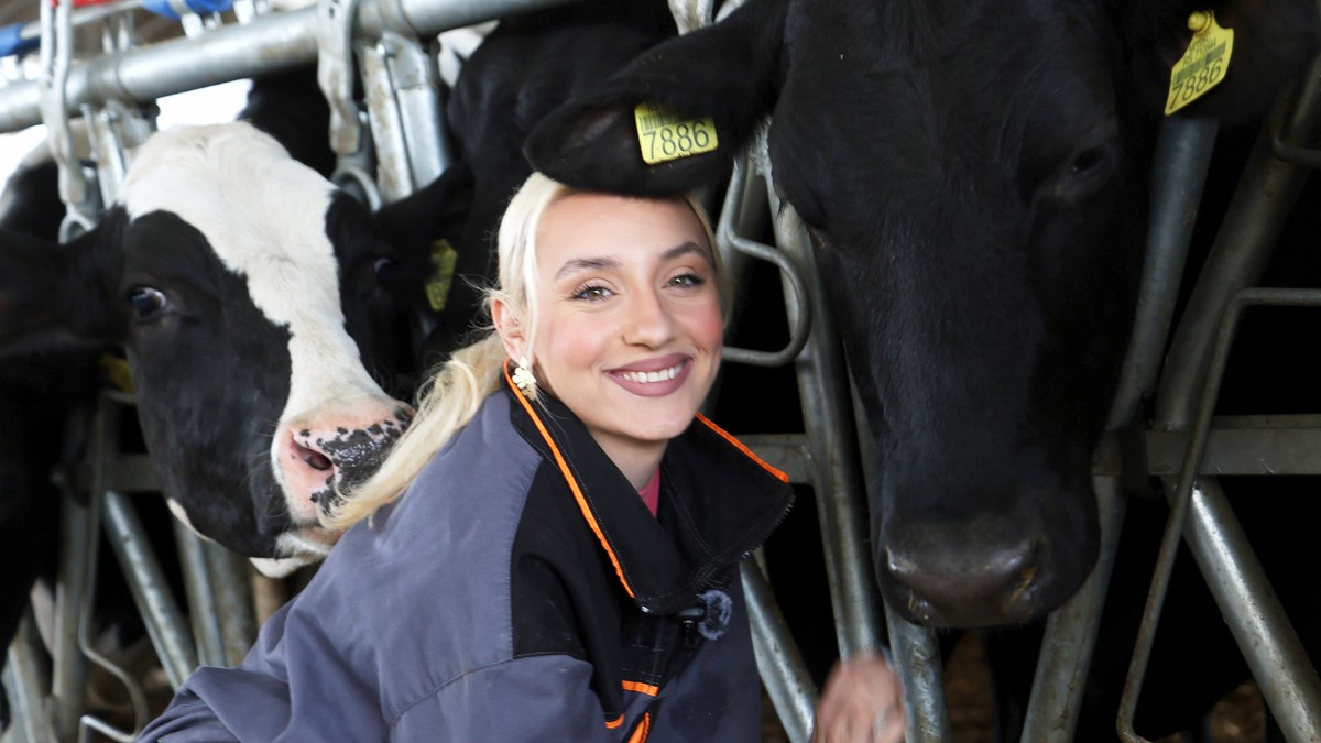 Sofija Plavšić