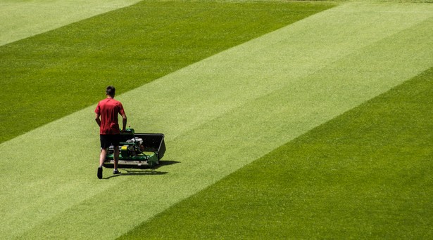 Lampy z upraw konopi będą ogrzewać murawę na stadionie Notts County