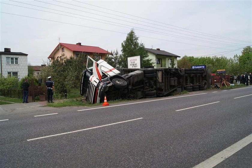 Świńska masakra na drodze