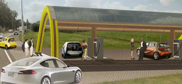 Holandia zamieni się w kraj przyjazny elektrycznym samochodom