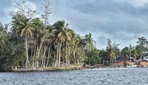 Voici 3 choses à savoir sur les îles Ehotilé : Un Paradis au cœur de la Lagune Aby