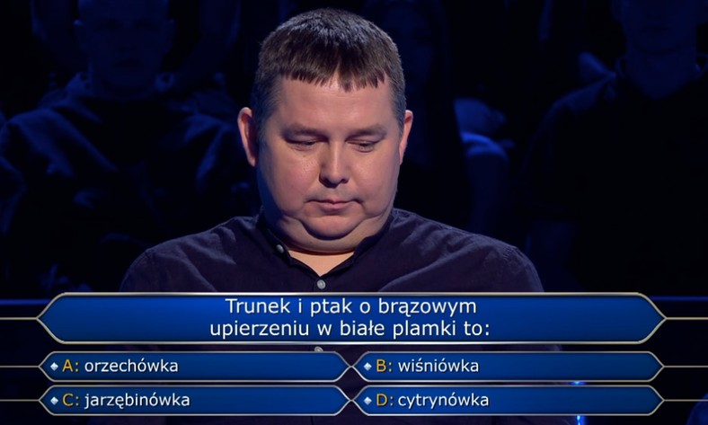 David Mikowajek