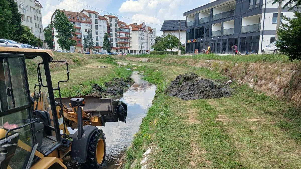 Čišćenje reke Štire u Loznici