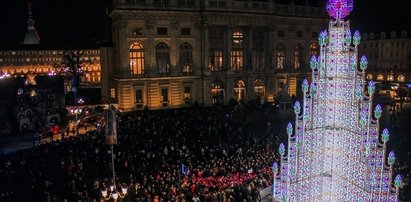 Oto najpiękniejsze choinki świata