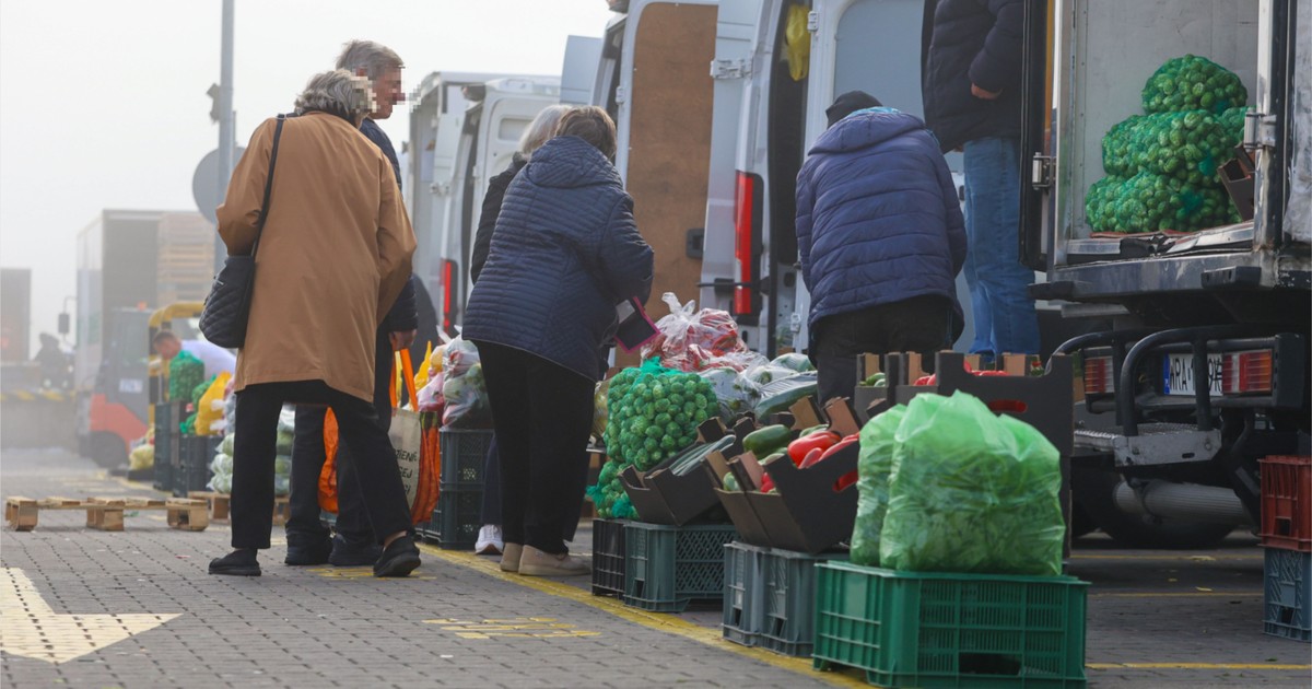 Polscy rolnicy w kryzysie. Popularne warzywo z importu zalewa polski rynek