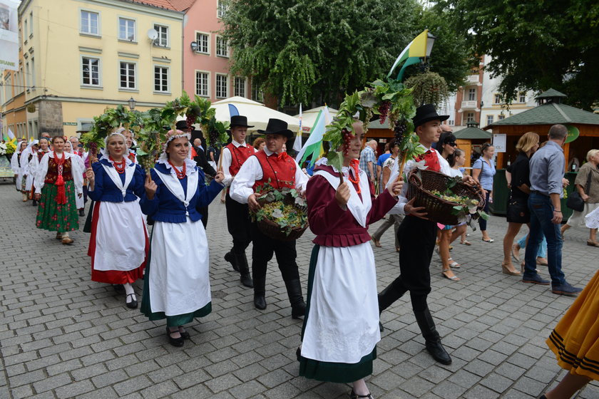 Winobranie 2016 w Zielonej Górze. 472 osoby dostały mandaty