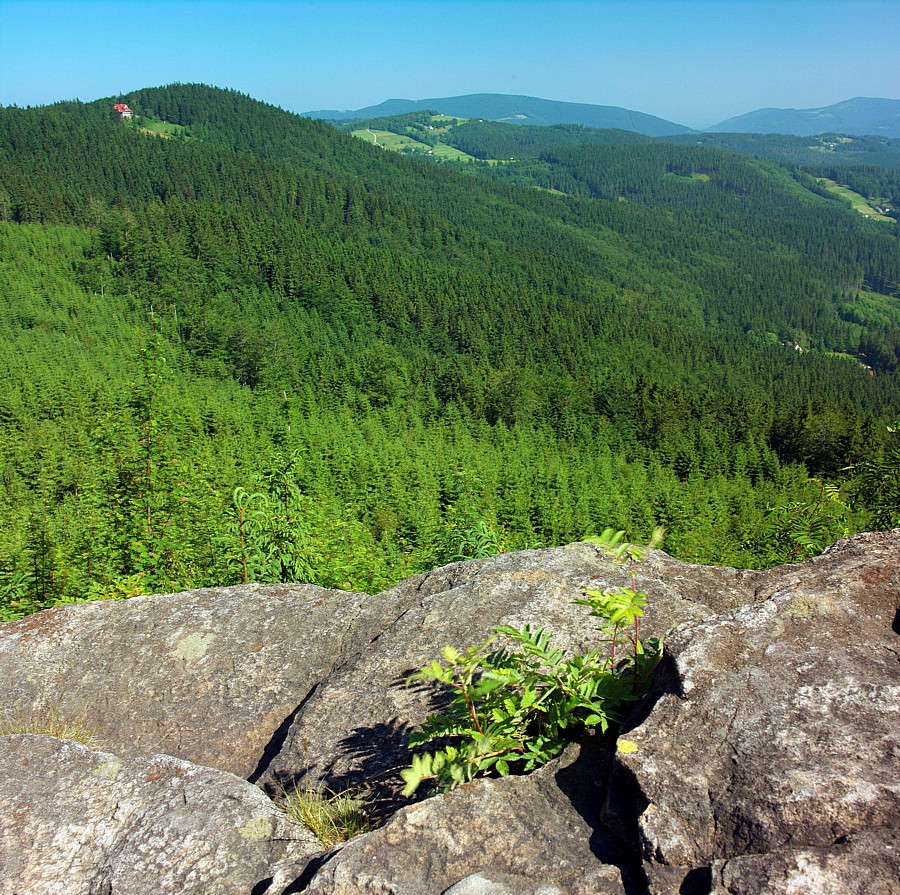 Beskid Śląski