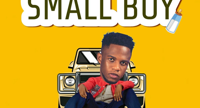 Julius Fakta - Small Boy cover artwork