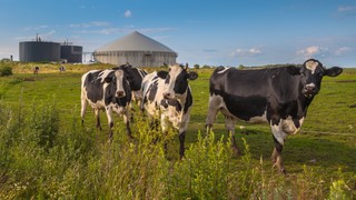 Czy instalacja biogazowni może być amortyzowana stawką 10% w skali rocznej?