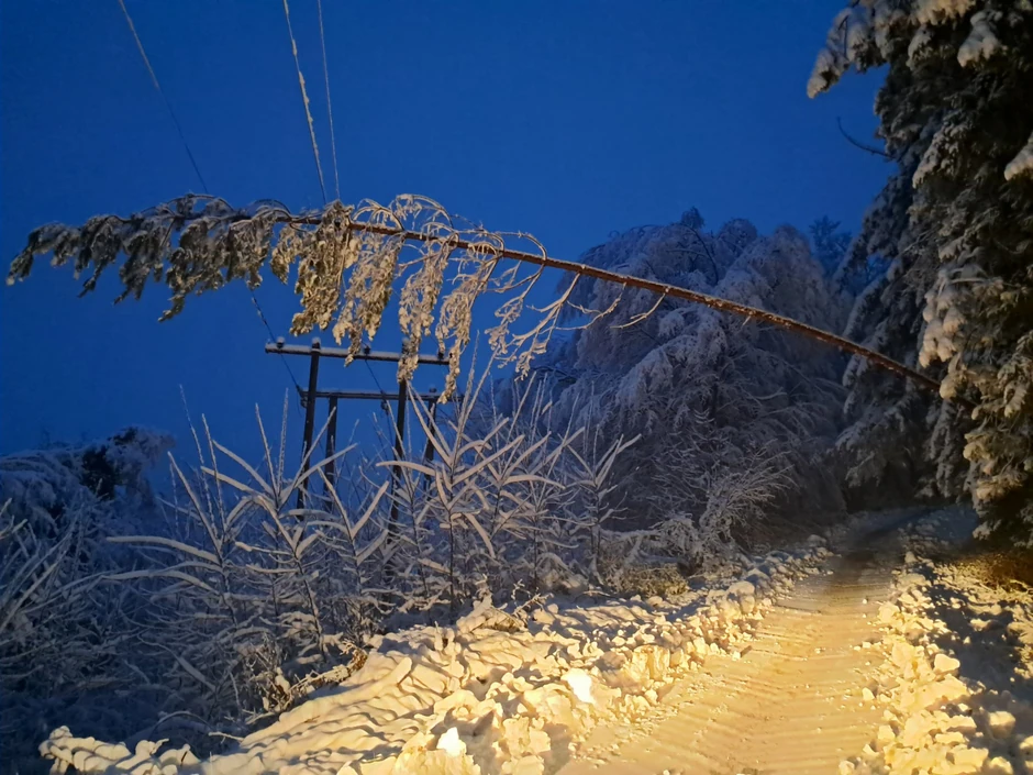Elektrodistribucija (EDB) Srbije