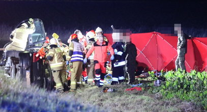 Groźny karambol na obwodnicy Borku Wlkp. Auto uderzyło w jelenia