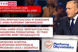 Grzegorz Schetyna Platforma Obywatelska PO polityka TVP Info media dziennikarstwo