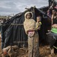 Rohingya Flee Myanmar Violence For Bangladesh