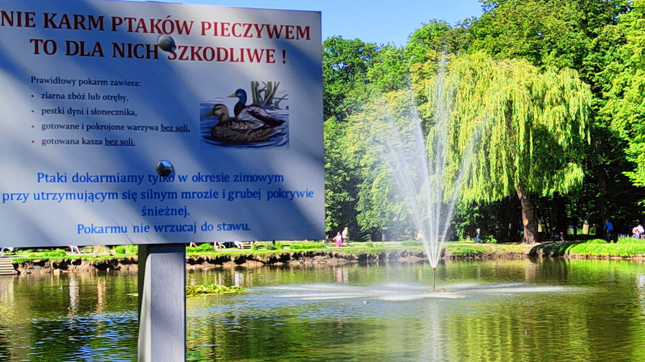 &quot;Nie karm ptaków pieczywem - to dla nich szkodliwe&quot;