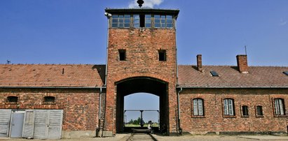 Skandal na terenie Auschwitz. Obywatel Izraela znieważył pomnik ofiar