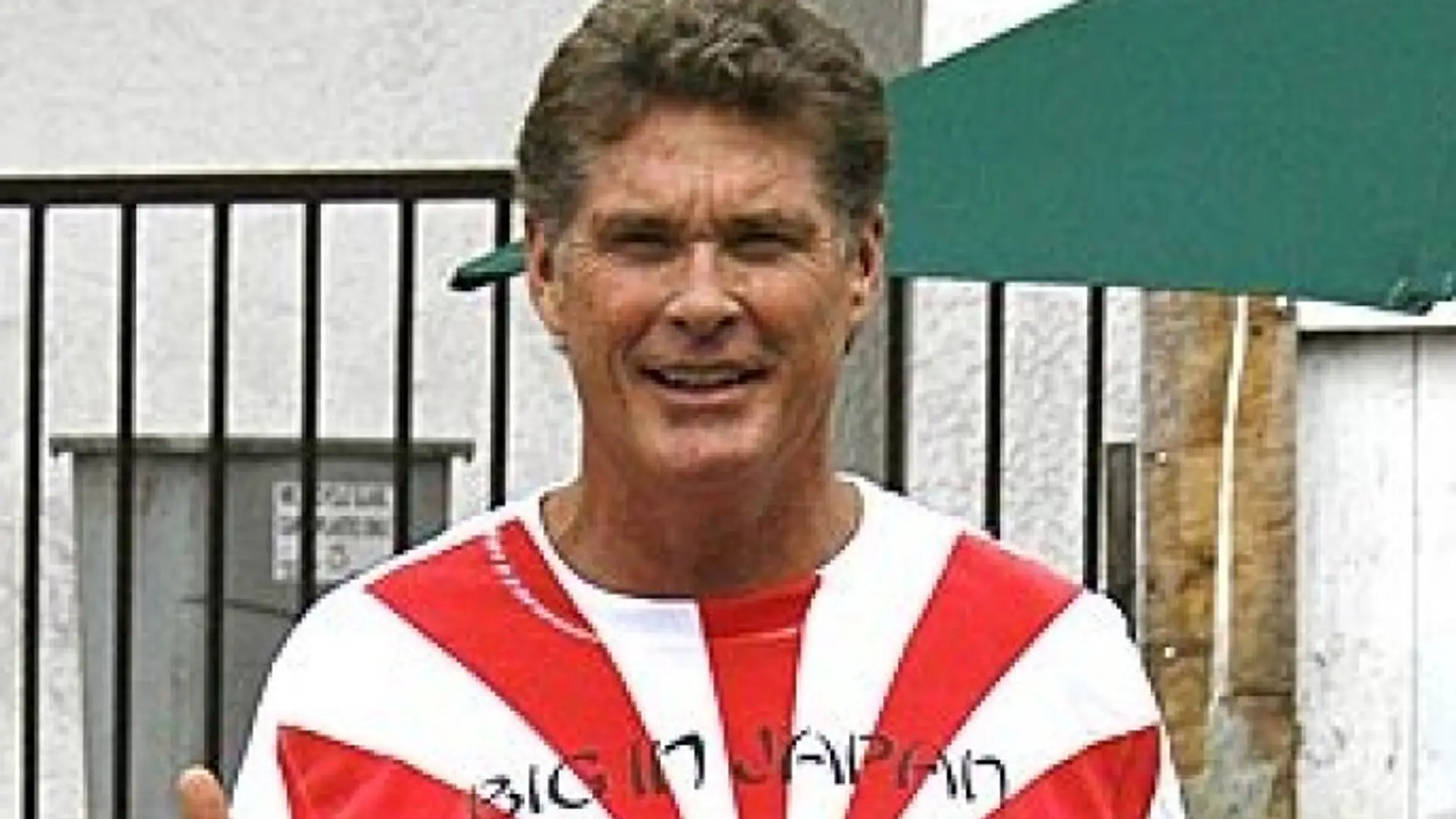 David Hasselhoff - Albumy fanów