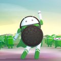 Nowy Android nazywa się Oreo. Poznaj 11 jego najciekawszych funkcji