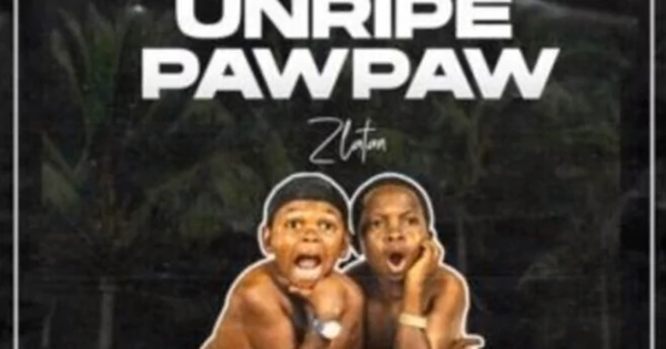 Zlatan - Unripe Paw Paw | Pulse Nigeria