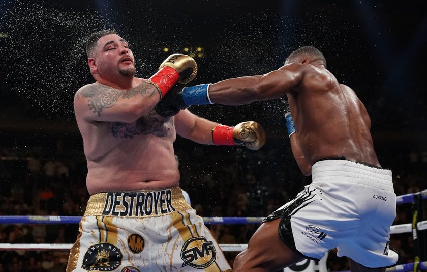 Anthony Joshua v Andy Ruiz Jr.