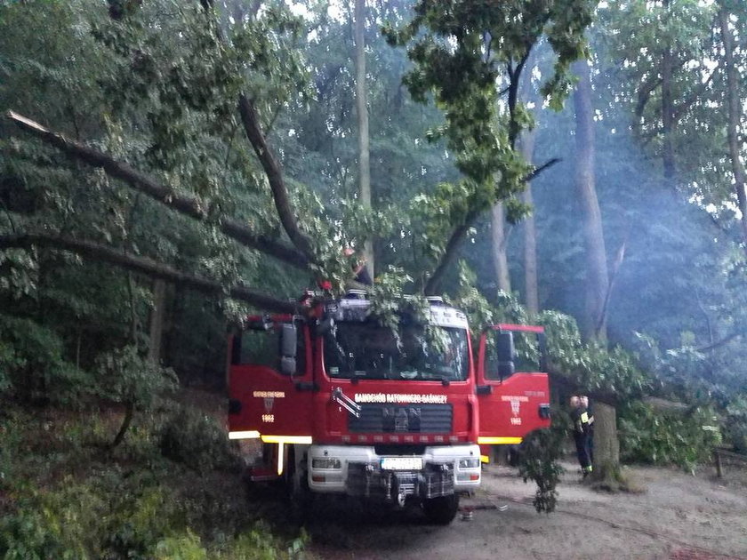 Prawie 400 interwencji po nocnej burzy nad Wielkopolską