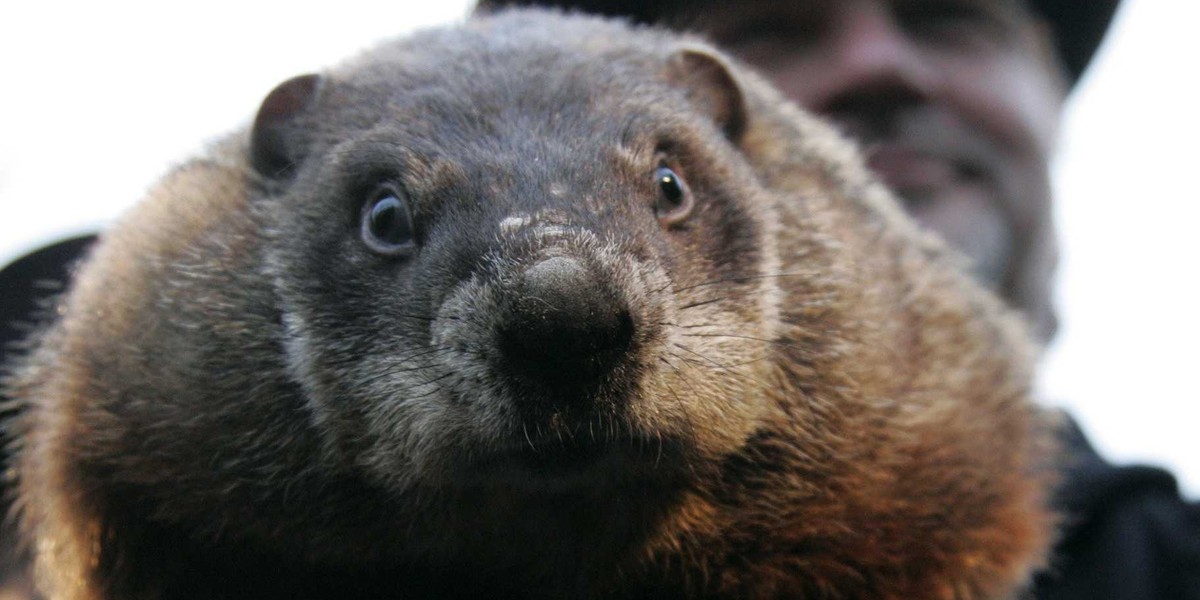 Groundhog Day is one big party — here's what it's like to experience in person