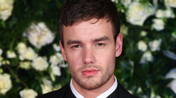 Pucéran állt a kamerák elé Liam Payne /Fotó: Northfoto