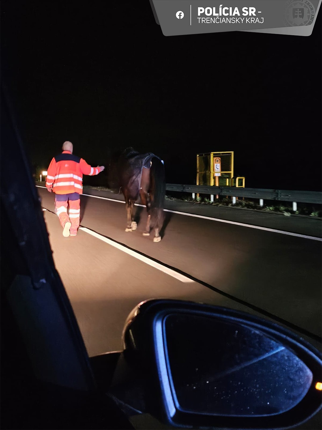 Príslušníci Finančnej správy odchytili na diaľnici pri Beluši koňa.