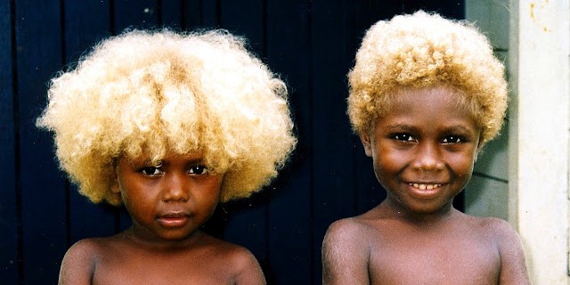 Melanesians: Meet the world's only natural black blondes | Pulse Nigeria