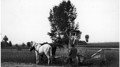 Historyczne susze w Polsce. "Paliły się we wszystkich stronach lasy"