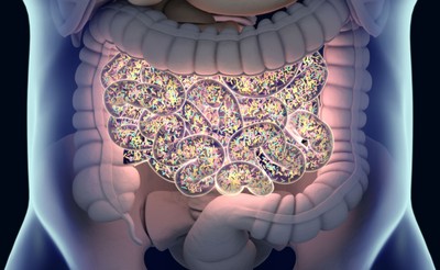 Bakterie jelitowe mogą wspierać leczenie nowotworów
