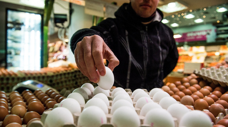 A tojás most
drágább, mint 2016
végén, az
áfacsökkentés előtt, a tej
ára pedig alig
egy év alatt
nőtt meg /Fotó: MTI - Balogh Zoltán