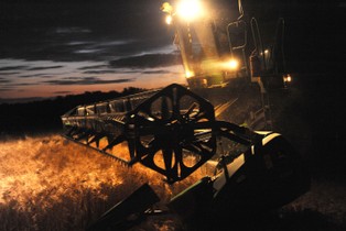 Ceny zbóż nurkują