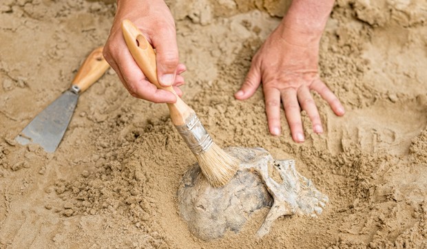 lobanja arheologija shutterstock 395215396